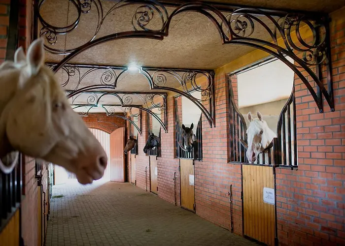 Zolota Gora Hotel-rancho Otel