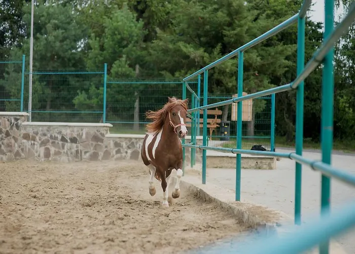 Otel Zolota Gora Hotel-rancho 4*